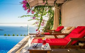Eco Villa Mimoza